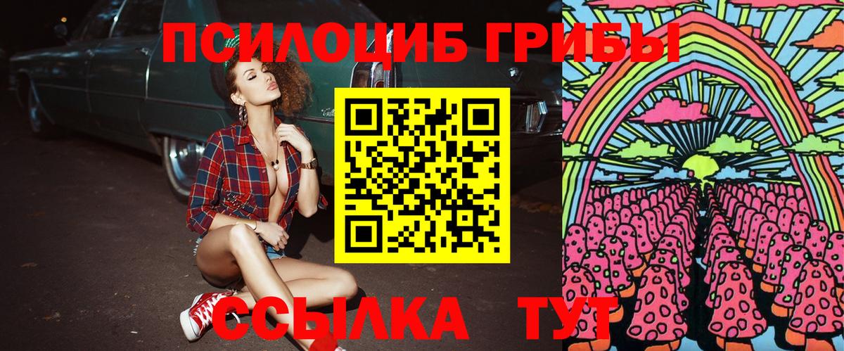 Псилоцибиновые грибы мухоморы Каменск-Шахтинский