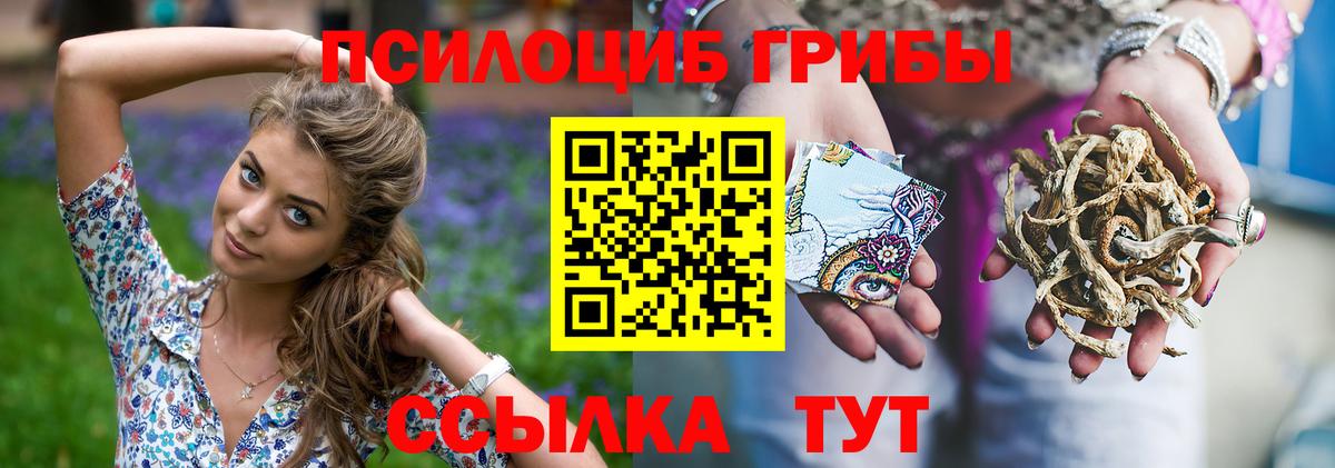 Каменск-Шахтинский  Галлюциногенные грибы мицелий  Псилоцибиновые грибы GOLDEN TEACHER  Вход с VPN 